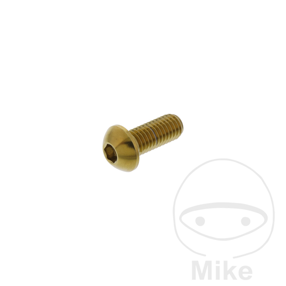 Brake Disc Screw M8X1.25 mm 20 mm Stainless Steel V4A Gold for e.g. BMW C1 125/200