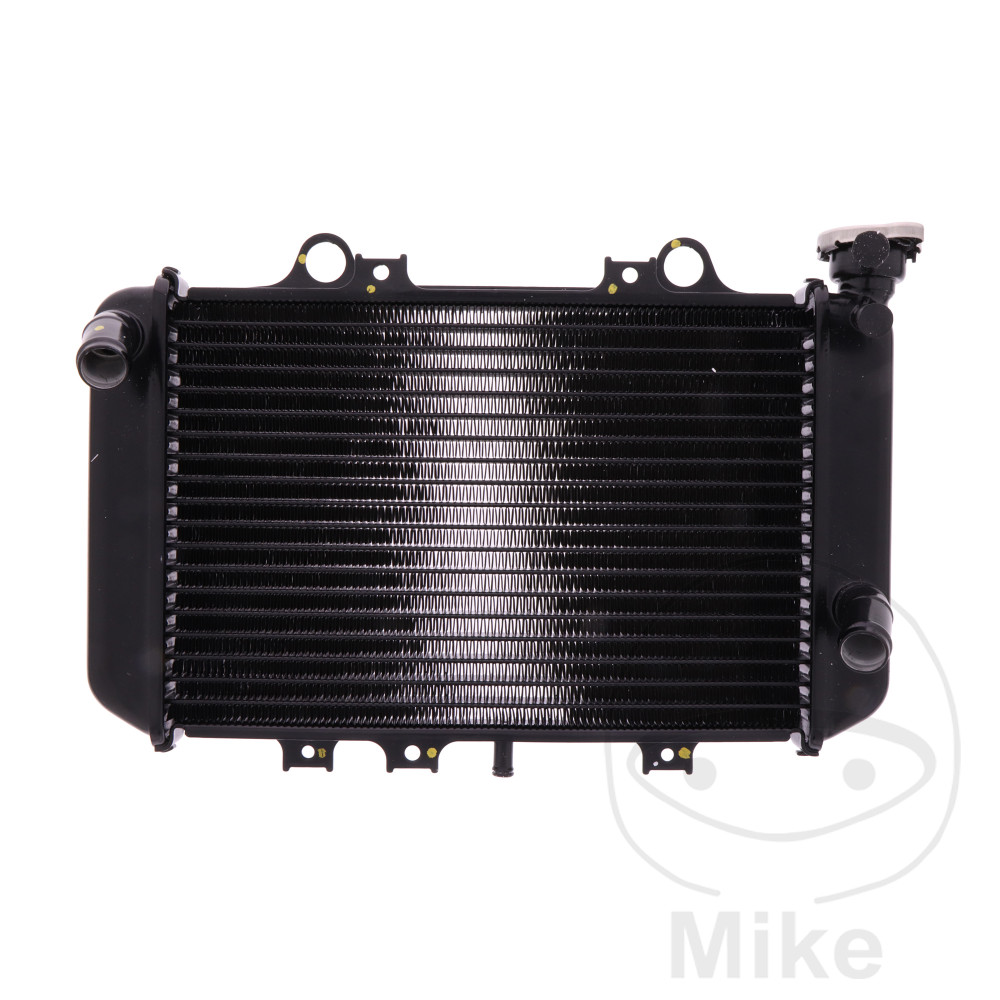 Radiateur pour BMW G310GS G310R C400GT