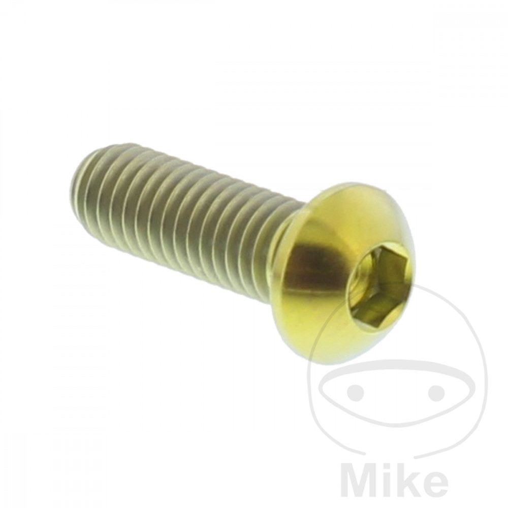 Vite del disco freno M6X1.00 mm 18 mm in titanio oro per BMW S 1000 R RR F800GS + Adventure