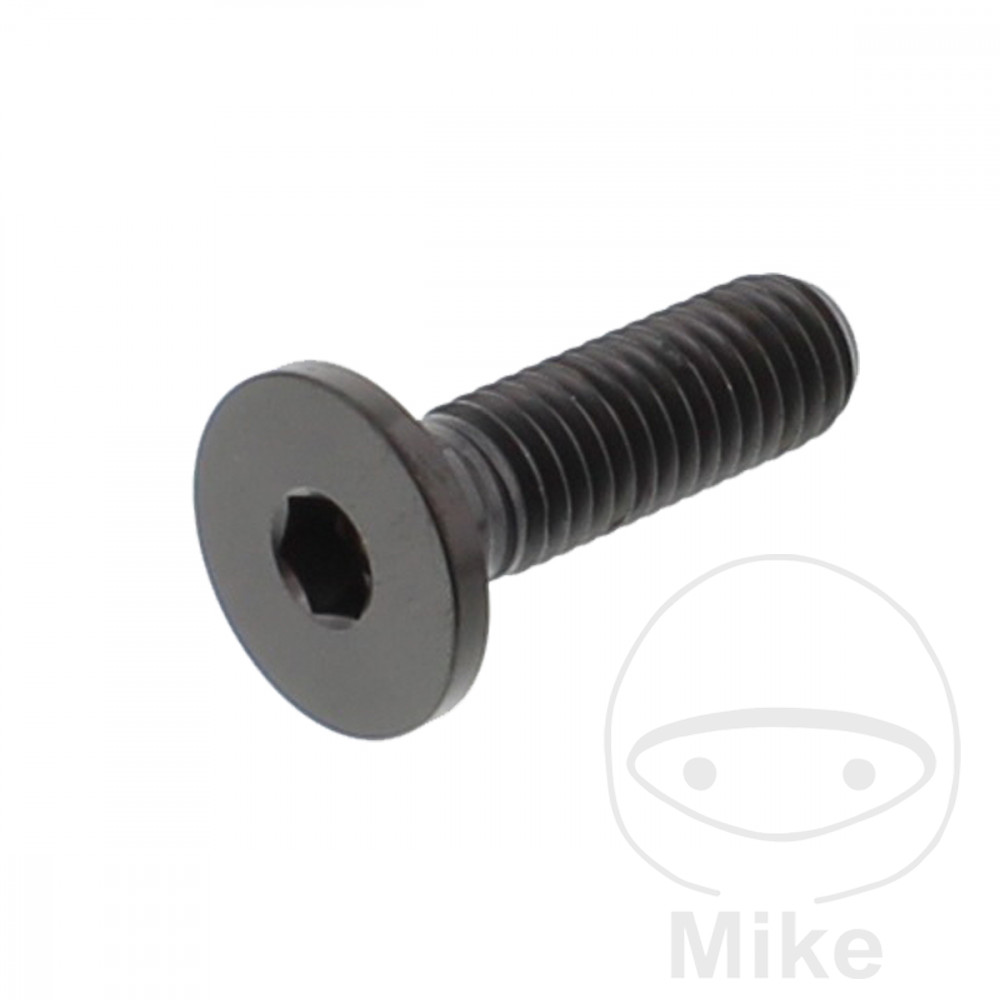 BMW R 1250 R RS RT GS + Adventure Tornillo Disco de Freno JMP M8X1.25 mm 26 mm Titanio negro