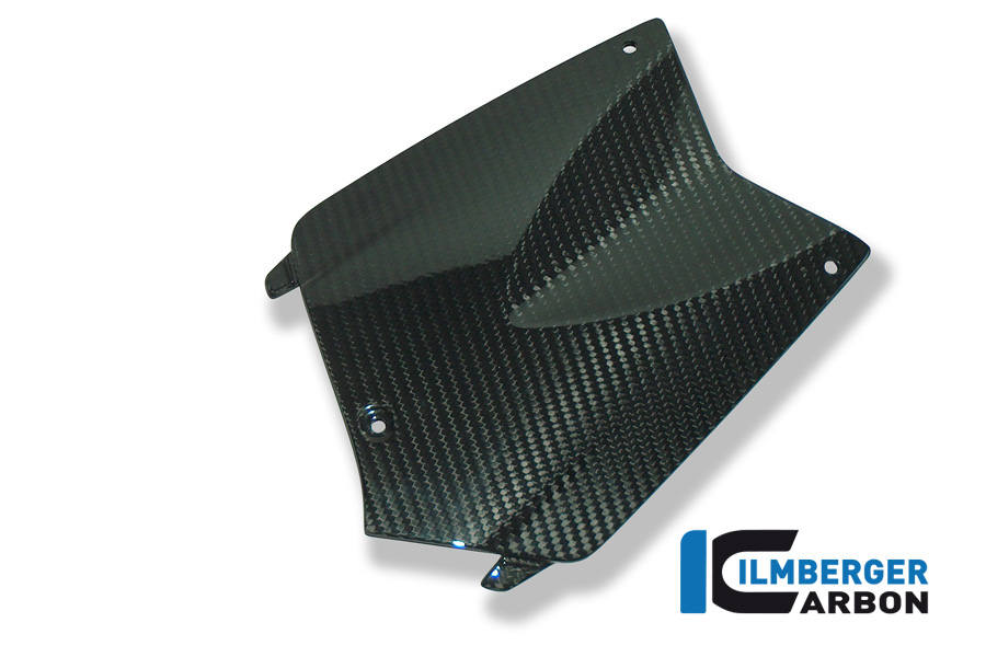 Coperchio del vano batteria in carbonio per BMW K1300R K1200R + Sport