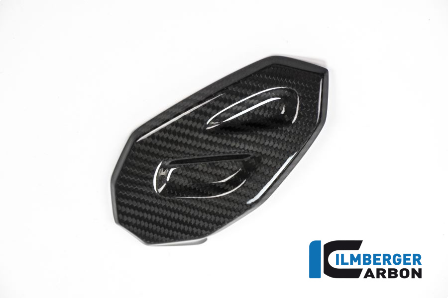 Protección de carbono izquierda con ABE para BMW S 1000 XR