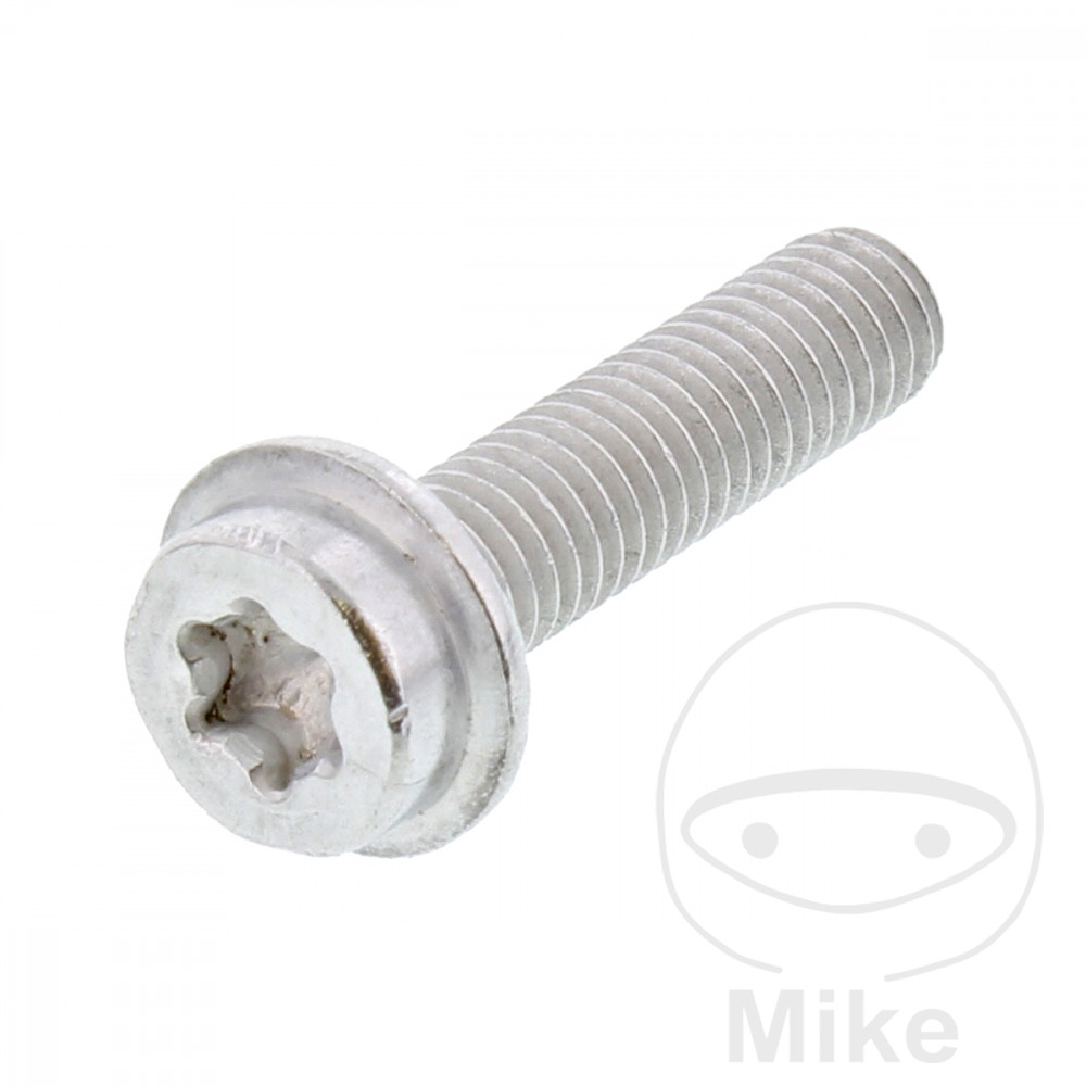 Tornillo M6X1.0X30 mm para BMW K1600GT K1600GTL hasta 2016 K1300S K1300R K1200R K1200S