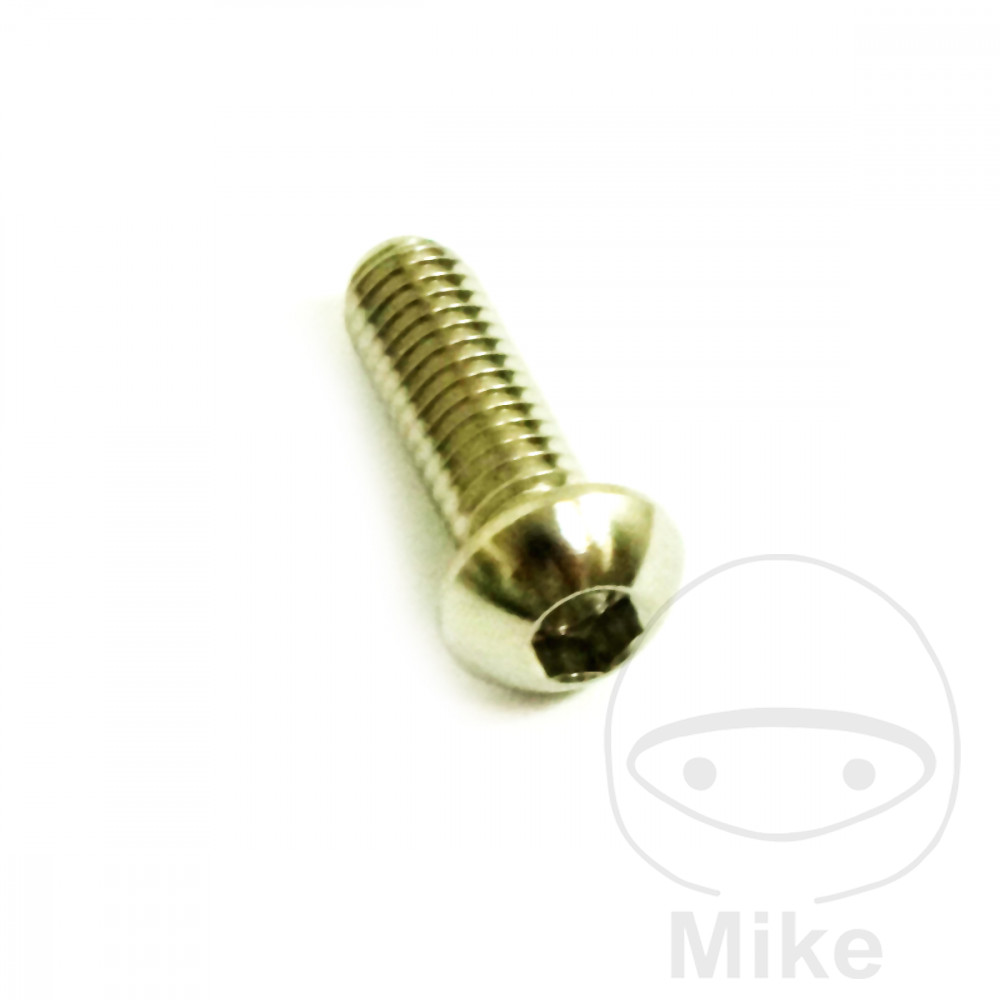 Vite del disco freno M6X1.00 mm 18 mm in acciaio inox V4A per BMW S 1000 RR R F800GS + Adventure