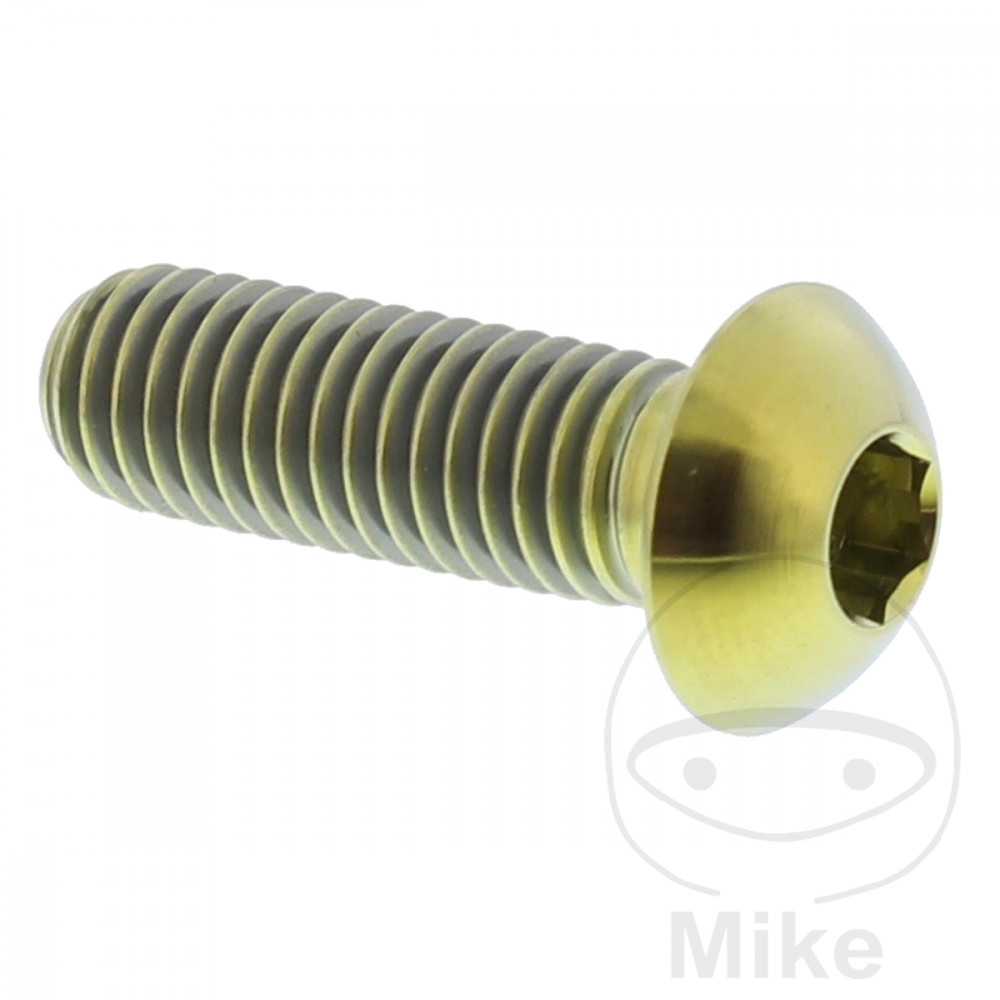 Brake Disc Screw M8X1.25 mm 25 mm Titanium Gold for BMW R 1200 C CL C1 125/200