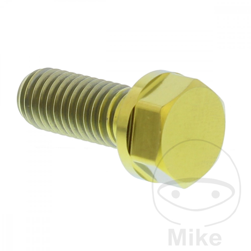 BMW G650 Xmoto Brake Disc Screw Pro Bolt M8X1.25 mm 20 mm Titanium Gold